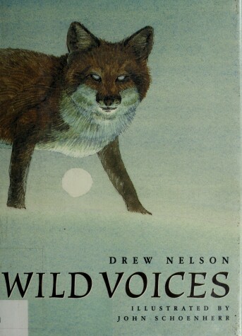 Book cover for Wild Voices