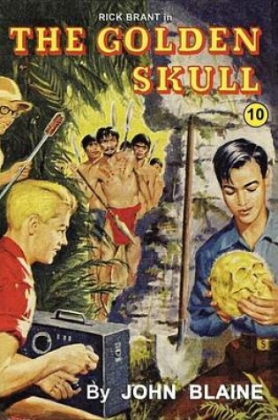 Cover of The Golden Skull (Rick Brant Series)