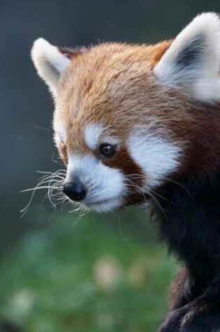 Cover of Cutest Red Panda Animal Journal