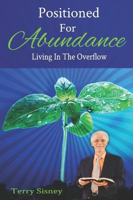 Book cover for Positioned For Abundance