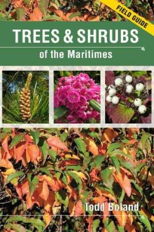 Cover of Trees & Shrubs of the Maritimes