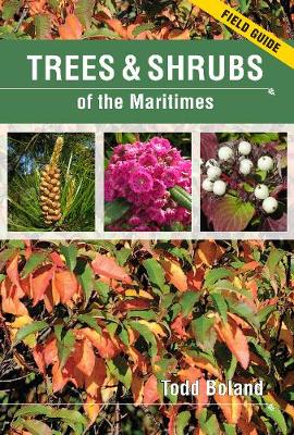 Book cover for Trees & Shrubs of the Maritimes