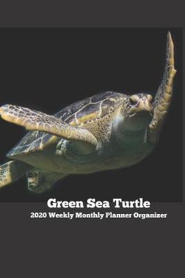 Book cover for Green Sea Turtle 2020 Weekly Monthly Planner Organizer