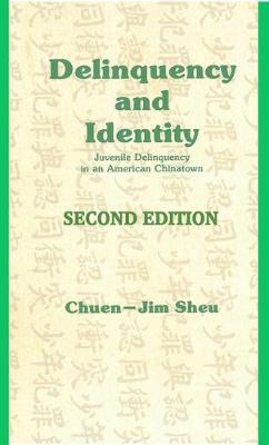 Cover of Delinquency and Identity