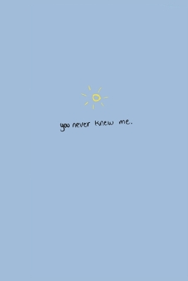 Cover of You never knew me.