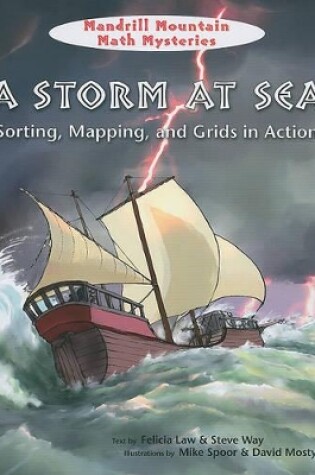 Cover of A Storm at Sea