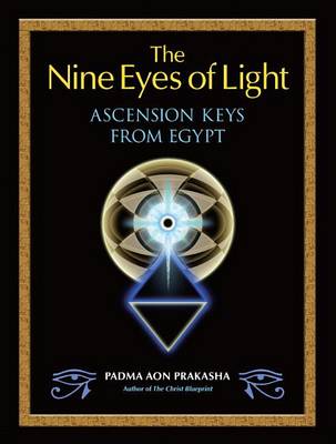 Book cover for The Nine Eyes of Light