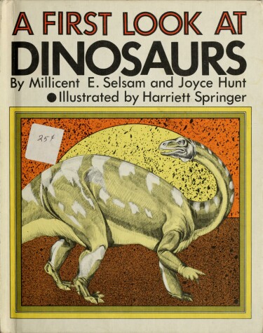 Book cover for A First Look at Dinosaurs