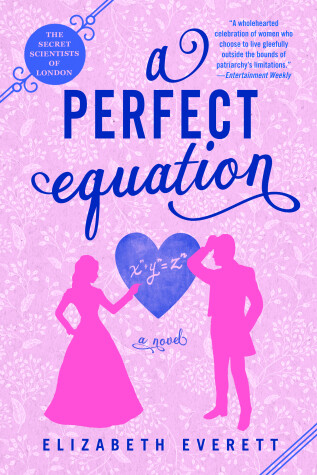 Cover of A Perfect Equation