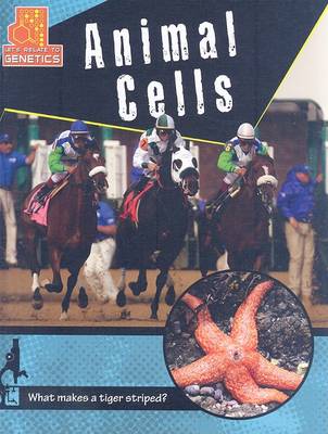 Book cover for Animal Cells