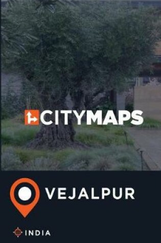 Cover of City Maps Vejalpur India