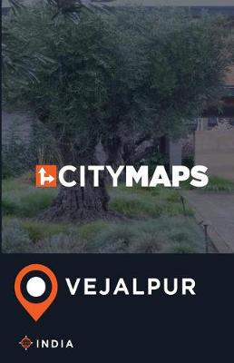 Book cover for City Maps Vejalpur India