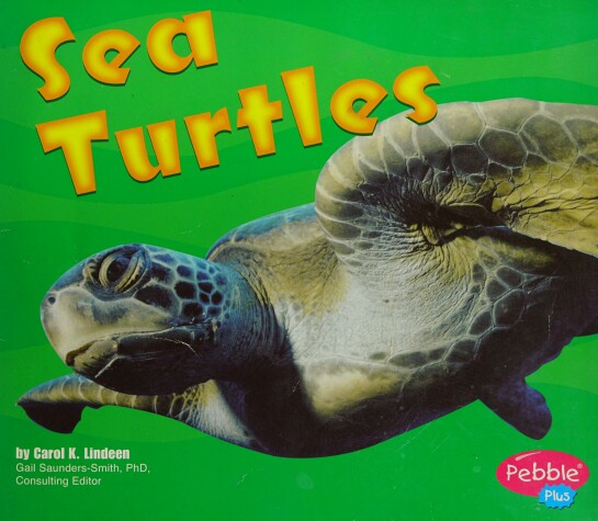 Book cover for Sea Turtles [Scholastic]