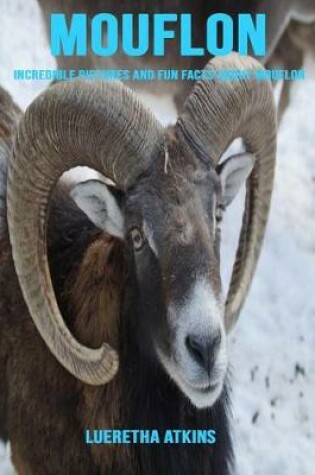 Cover of Mouflon