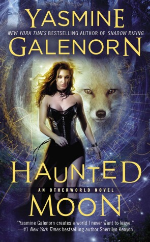 Book cover for Haunted Moon