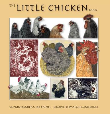 Book cover for The Little Chicken Book