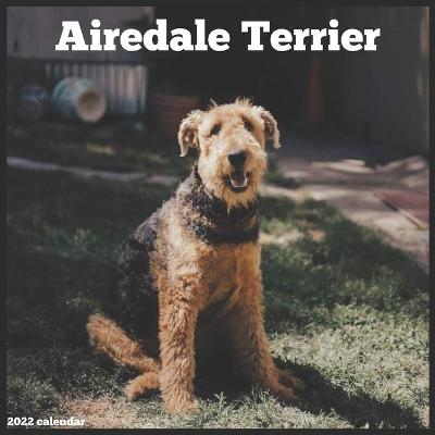 Book cover for Airedale Terrier 2022 Calendar