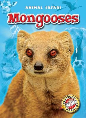 Book cover for Mongooses