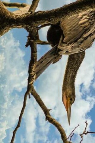 Cover of Anhinga Snakebird in a Tree in Florida, Birds of the World