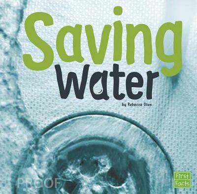 Book cover for Saving Water (Water in Our World)