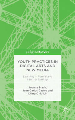 Book cover for Youth Practices in Digital Arts and New Media