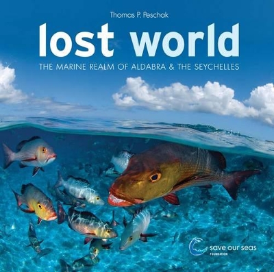 Book cover for Lost World