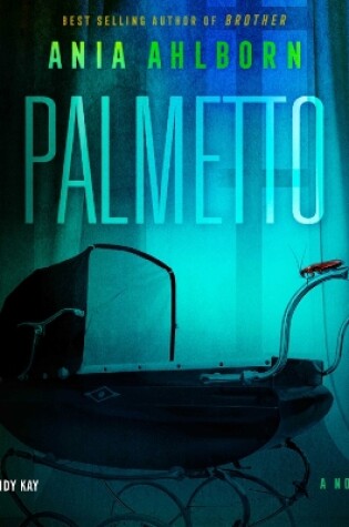 Cover of Palmetto