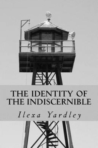 Cover of The Identity of the Indiscernible