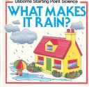 Book cover for What Makes It Rain?