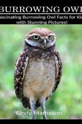 Cover of Burrowing Owl