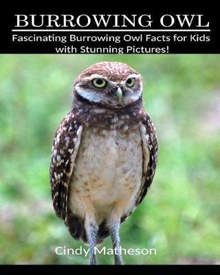 Book cover for Burrowing Owl