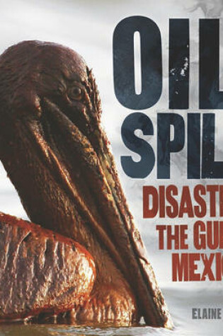 Cover of Oil Spill!