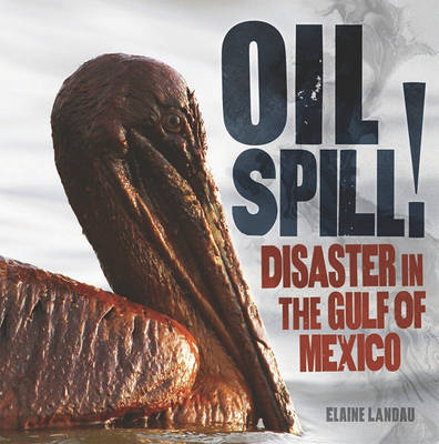Book cover for Oil Spill!