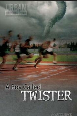 Cover of A Boy Called Twister