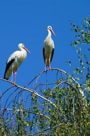 Cover of Two White Storks Journal