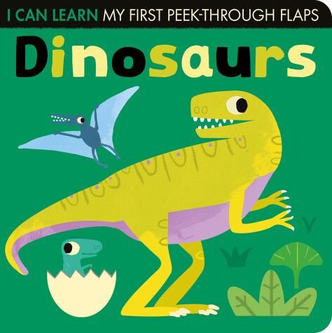 Book cover for Dinosaurs