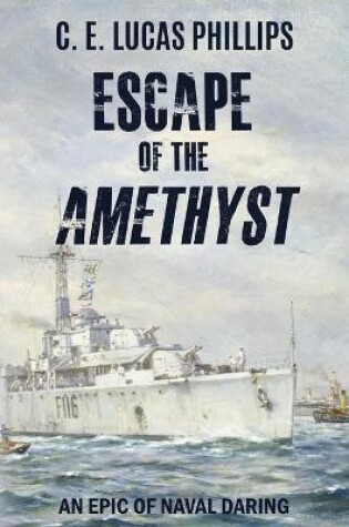 Cover of Escape of the Amethyst