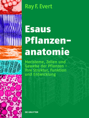 Book cover for Esaus Pflanzenanatomie