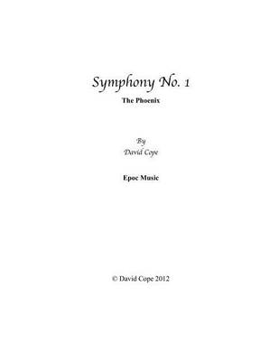 Book cover for Symphony No. 1