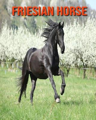 Book cover for Friesian Horse