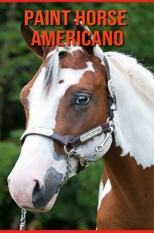 Cover of Paint Horse Americano