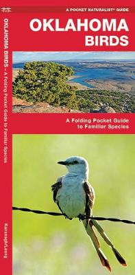 Book cover for Oklahoma Birds
