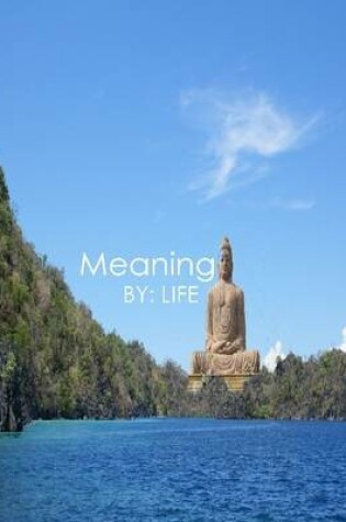 Cover of Meaning (Paperback Edition)