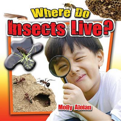 Book cover for Where Do Insects Live?