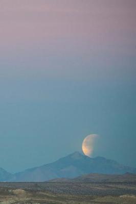 Cover of Moon Rises Desert Sky Science 2019 Daily Planner 384 Pages