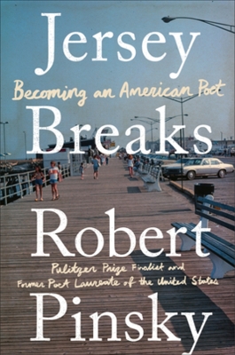 Book cover for Jersey Breaks