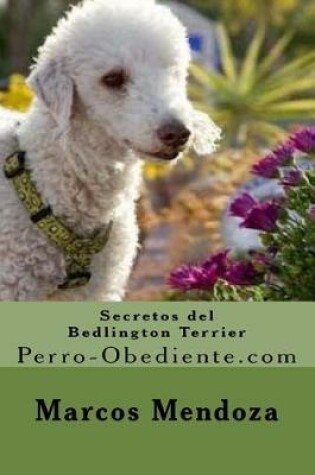 Cover of Secretos del Bedlington Terrier