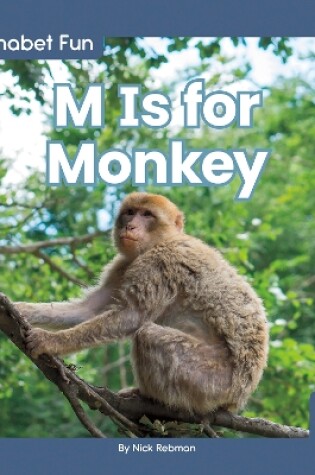 Cover of Alphabet Fun: M is for Monkey