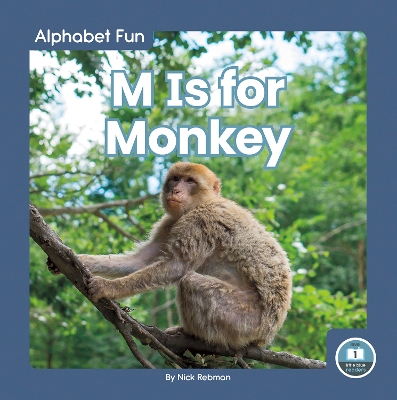Book cover for Alphabet Fun: M is for Monkey