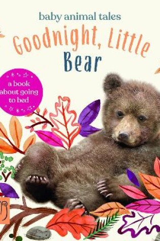 Cover of Goodnight, Little Bear